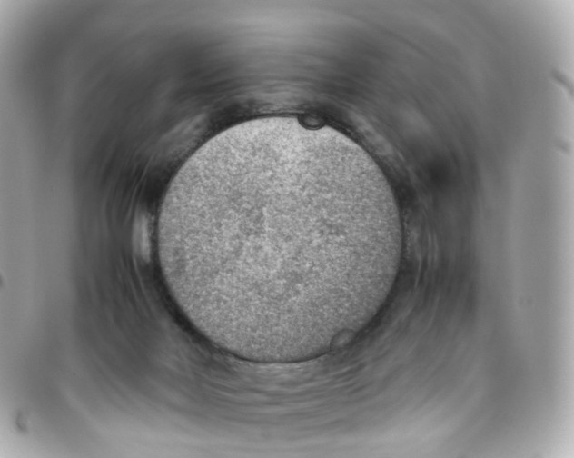 X0000095890026200802011116