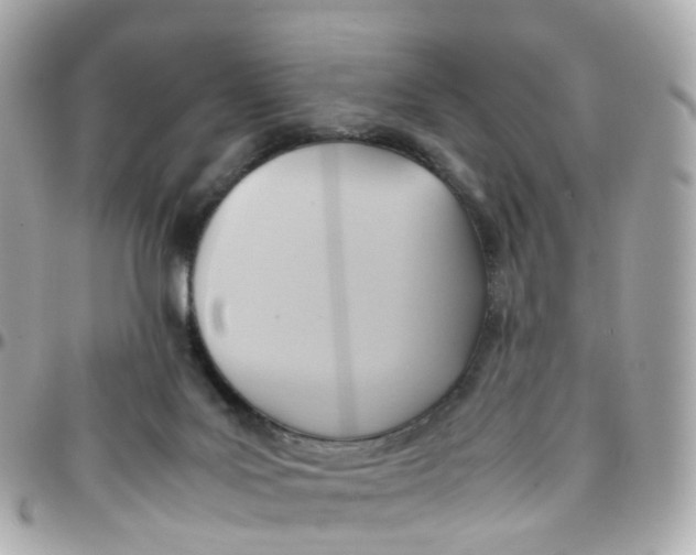 X0000095890027200802011116
