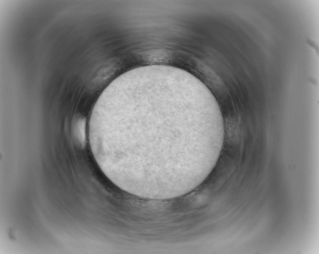 X0000095890028200802011116