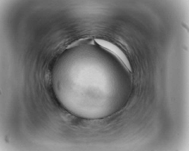 X0000095890029200802011116