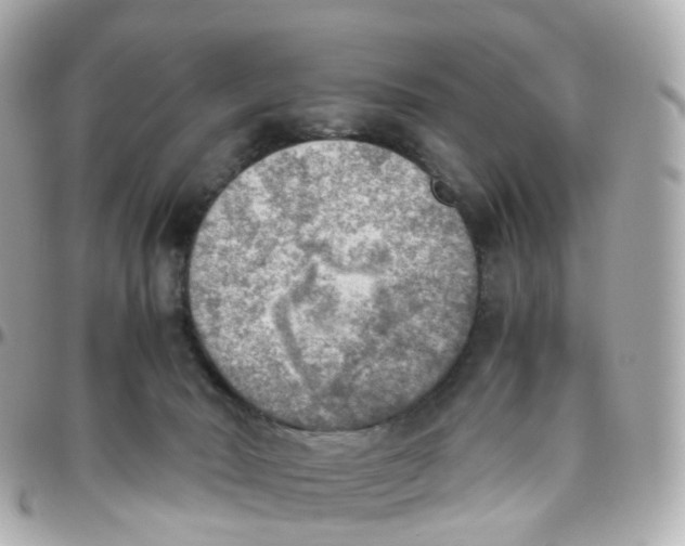 X0000095890030200802011116