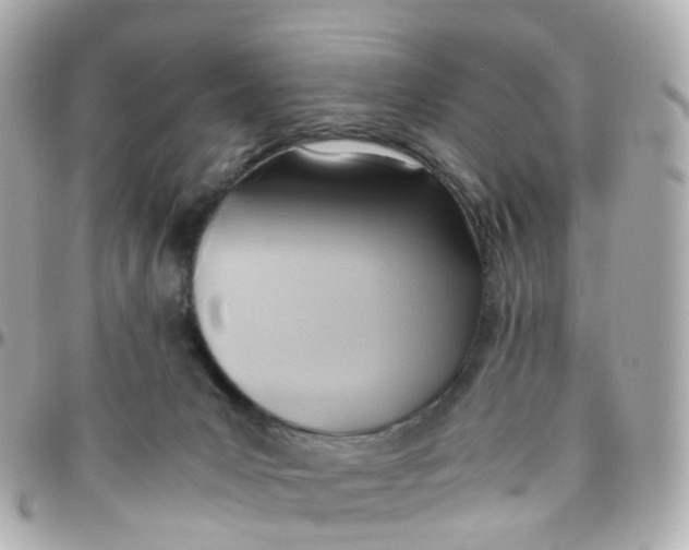 X0000095890031200802011116