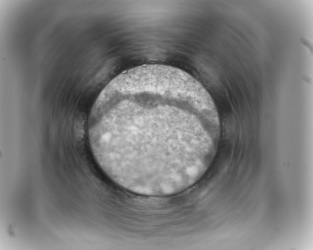 X0000095890032200802011116