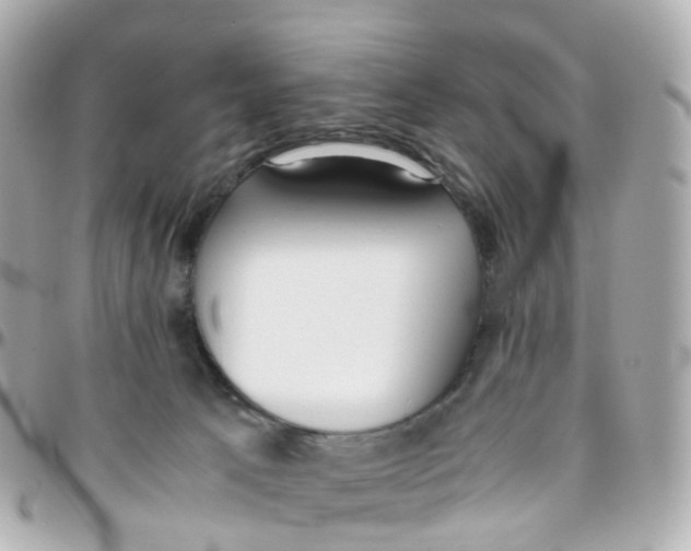 X0000095890033200802011116