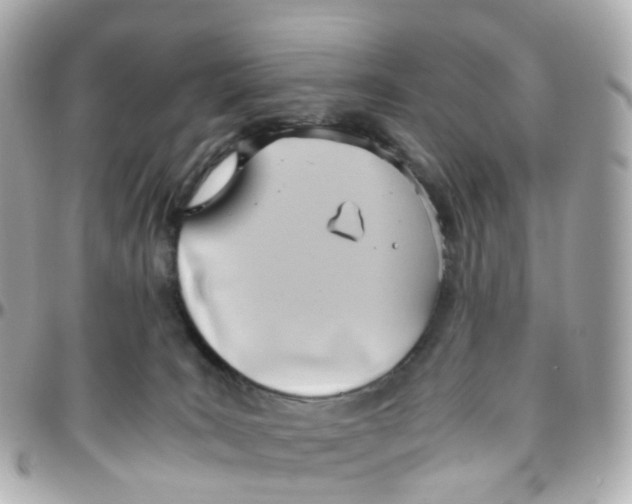 X0000095890035200802011116