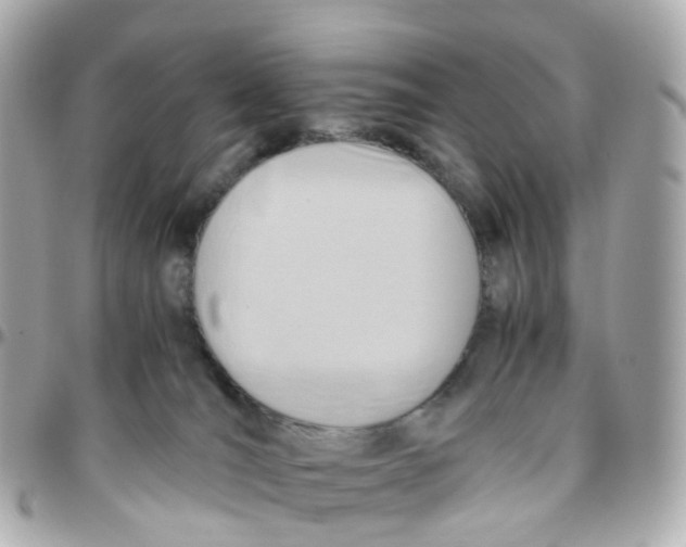 X0000095890036200802011116