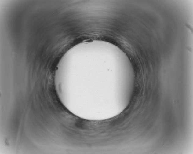 X0000095890037200802011116