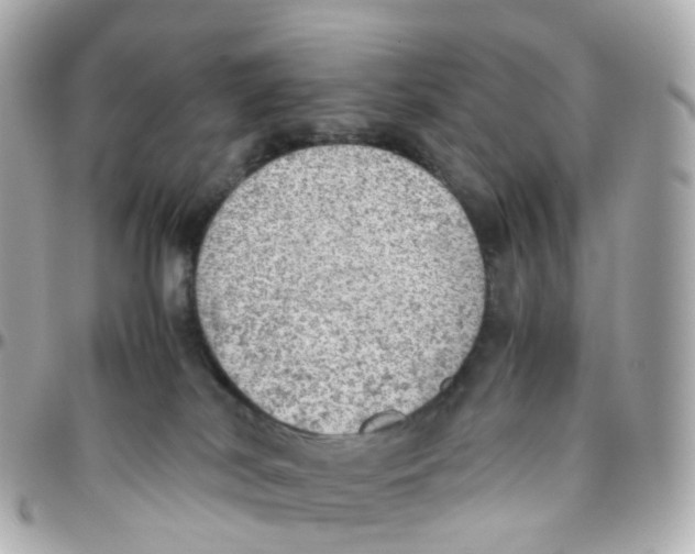 X0000095890038200802011116