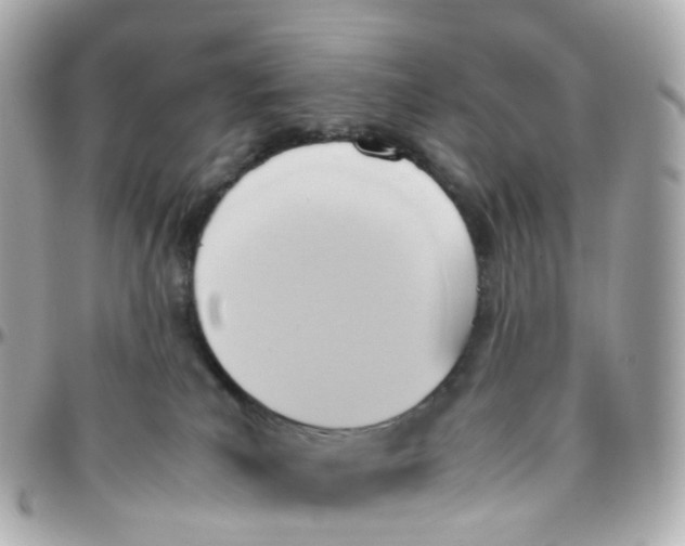 X0000095890039200802011116