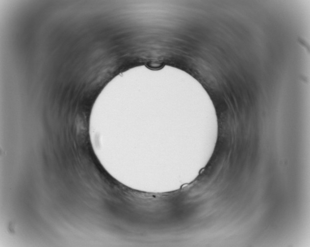 X0000095890040200802011116