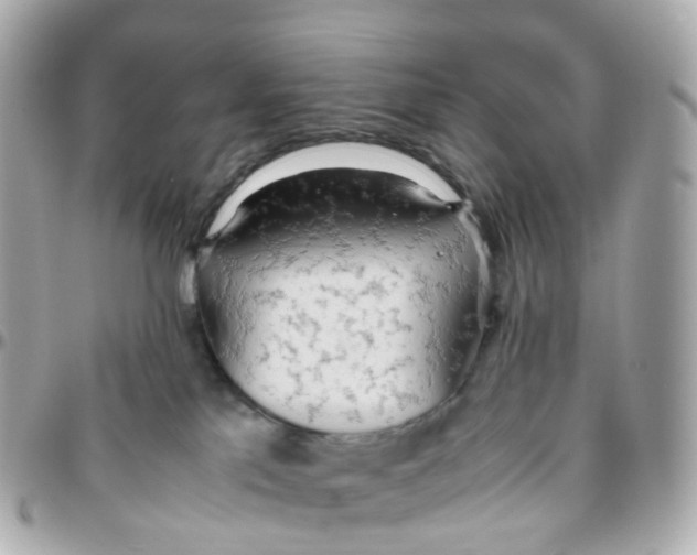 X0000095890041200802011116