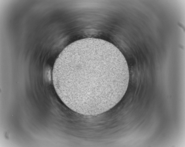 X0000095890042200802011116