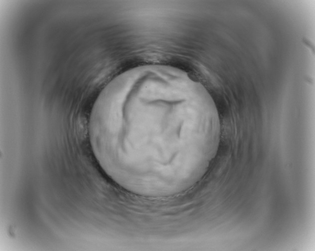 X0000095890043200802011116