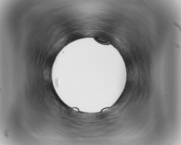 X0000095890044200802011116