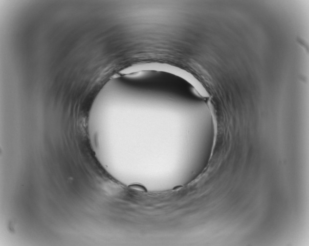 X0000095890045200802011116