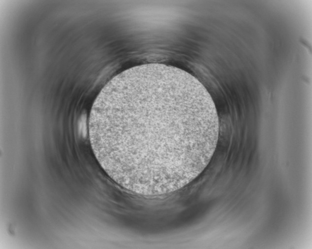 X0000095890046200802011116