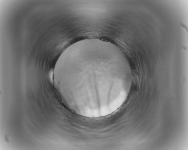 X0000095890047200802011116
