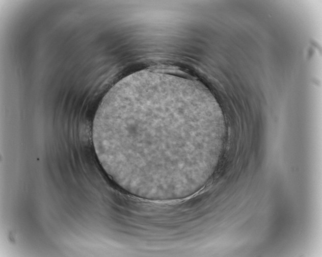 X0000095890048200802011116