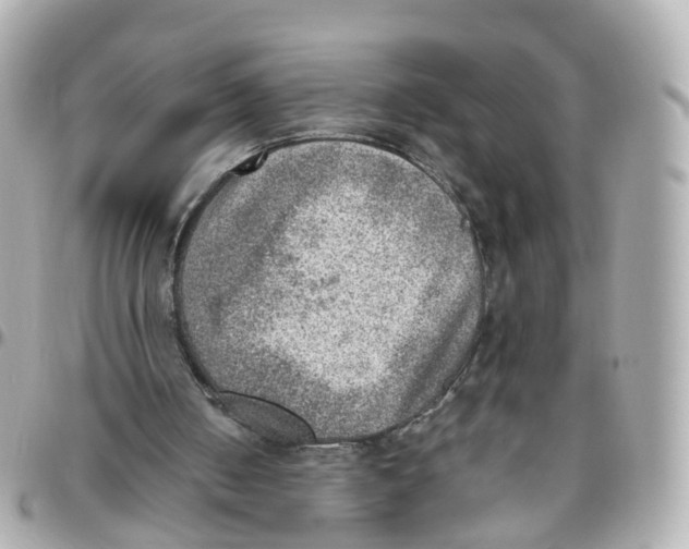 X0000095890050200802011115