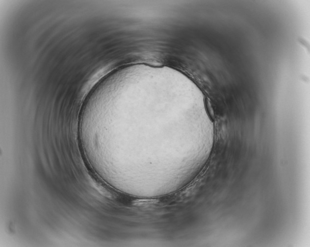 X0000095890051200802011115