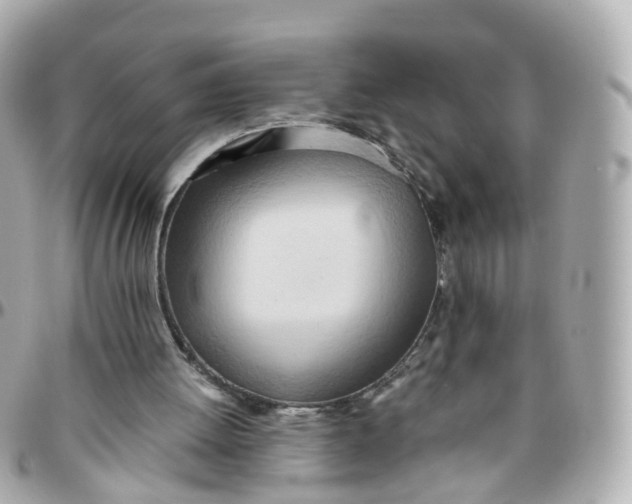 X0000095890052200802011115