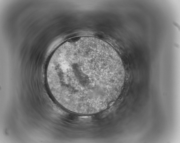 X0000095890053200802011115