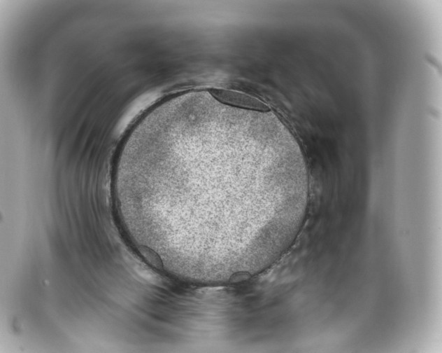 X0000095890054200802011115