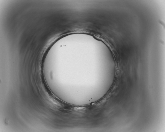 X0000095890055200802011115