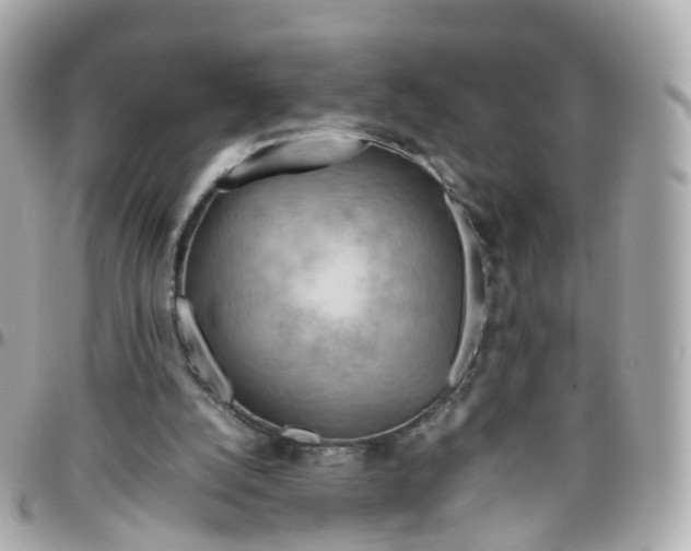 X0000095890056200802011115
