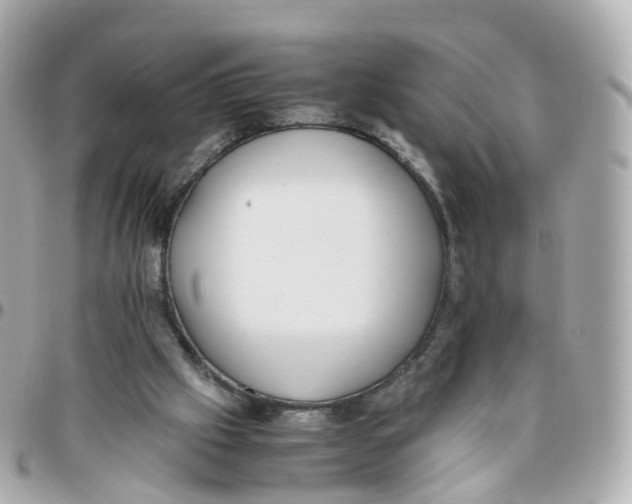 X0000095890057200802011115