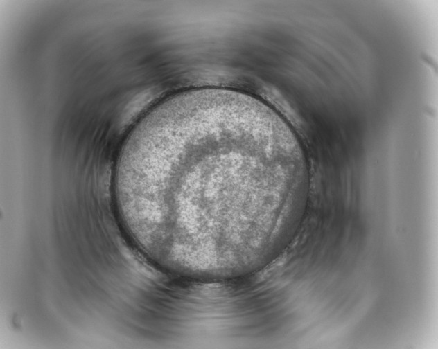 X0000095890058200802011115