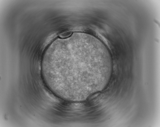 X0000095890059200802011115