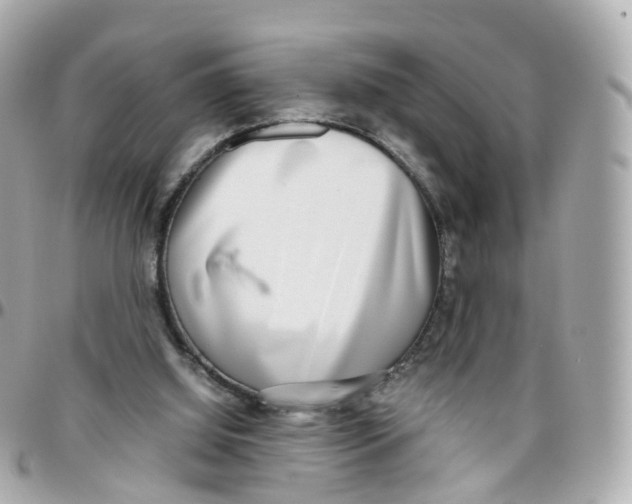 X0000095890060200802011115