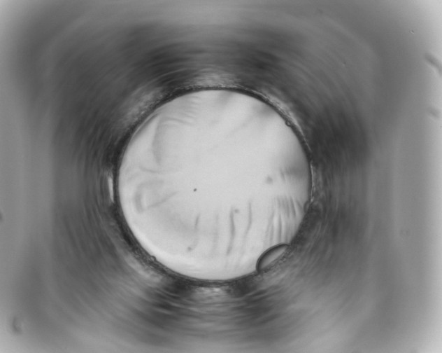 X0000095890061200802011115