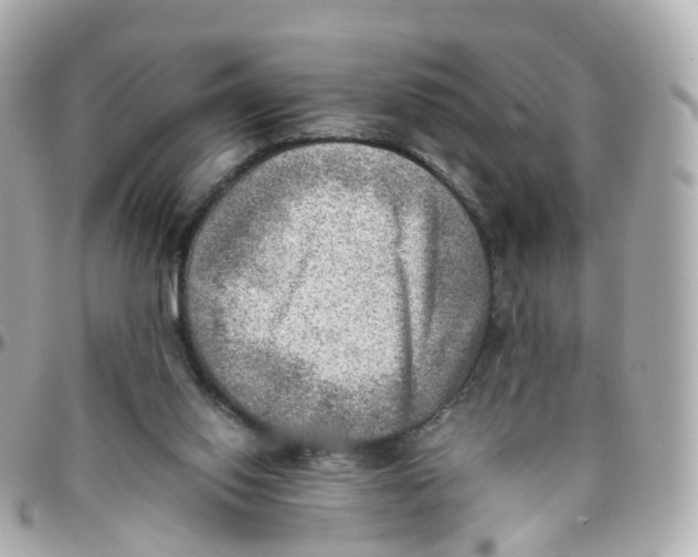 X0000095890062200802011115