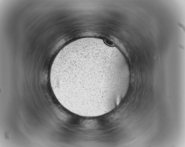 X0000095890063200802011115