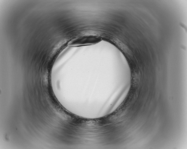 X0000095890064200802011115