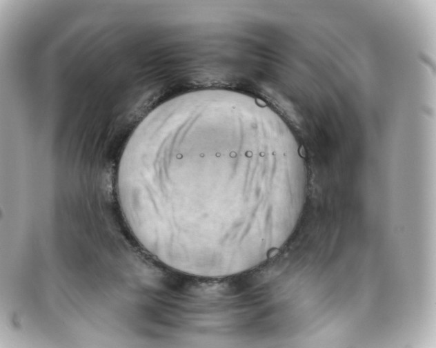 X0000095890065200802011115