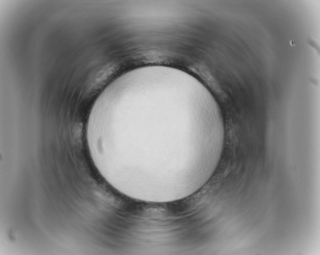 X0000095890066200802011115