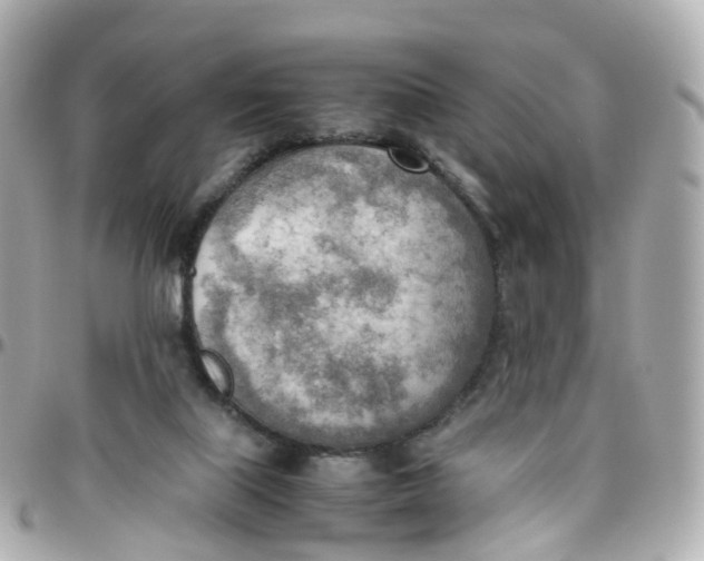 X0000095890067200802011115