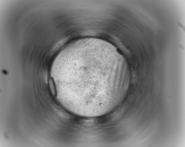 X0000095890068200802011115