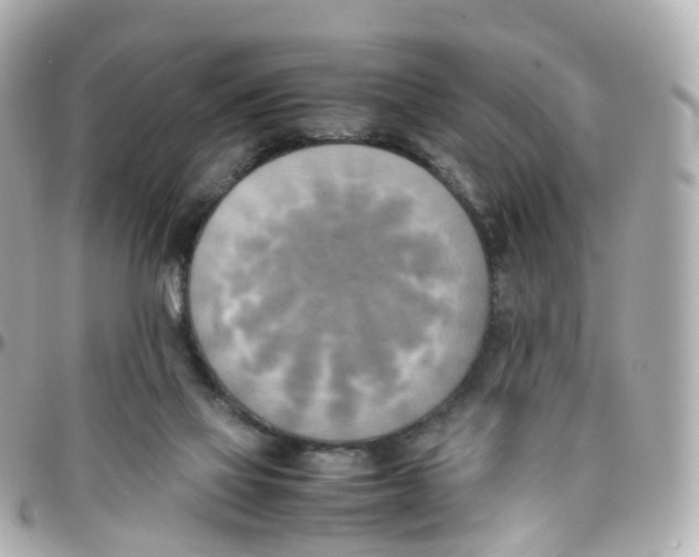 X0000095890069200802011115