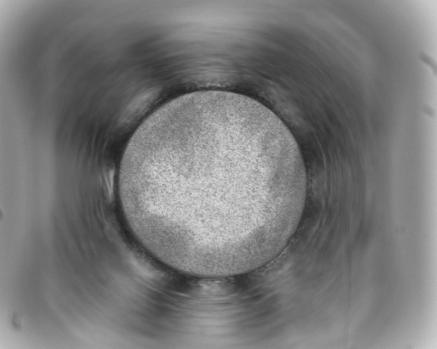 X0000095890070200802011115