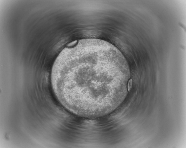 X0000095890071200802011115