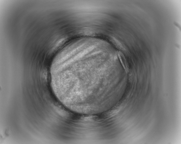 X0000095890072200802011115