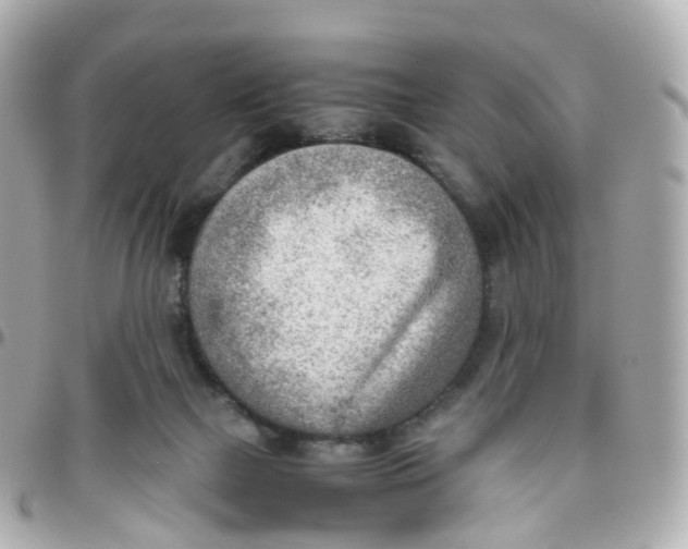 X0000095890073200802011115