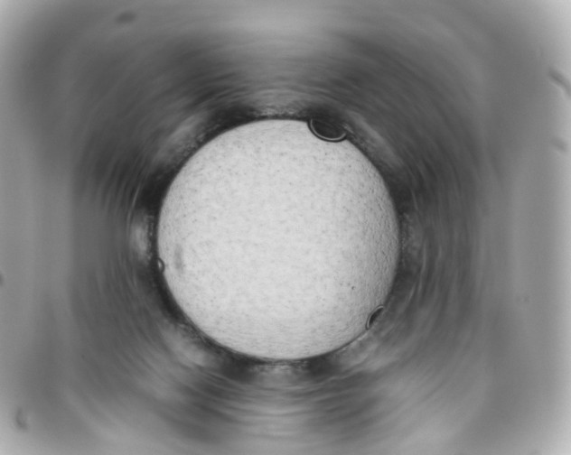 X0000095890074200802011115
