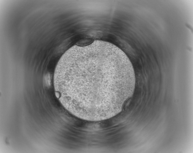 X0000095890075200802011115
