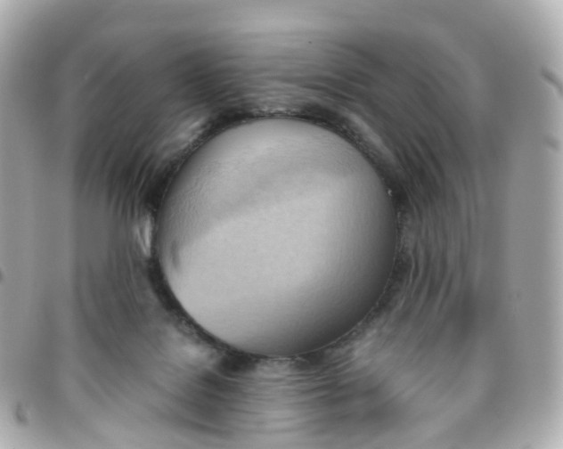 X0000095890076200802011116