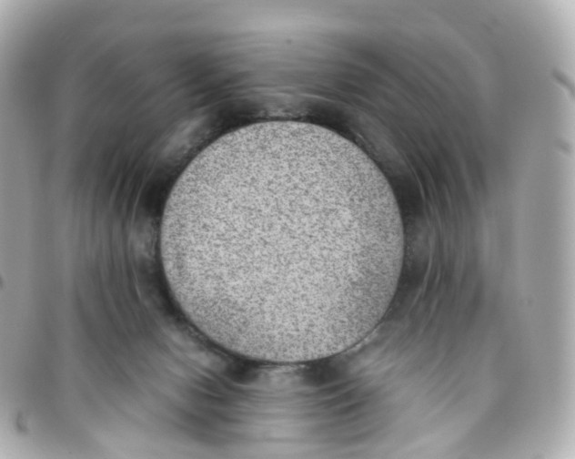 X0000095890078200802011116